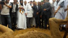 عامل إقليم السمارة يشرف على انطلاق حملة بيطرية تستهدف قطيع الابل بالسمارة