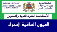 العيون:التنسيق النقابي الثلاث بالجهة يخوض اضراب جهوي مصحوبة بوقفة امام انعقاد المجلس الادراي