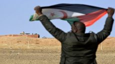 ترحيل إسباني مناصر لجبهة البوليساريو من مطار مدينة العيون