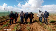 الزراعة المستدامة بصيص أمل لتنمية المراعي بطانطان