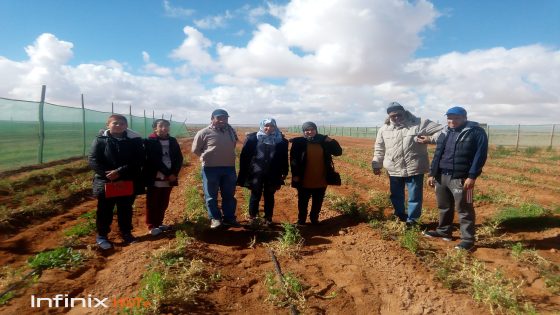 الزراعة المستدامة بصيص أمل لتنمية المراعي بطانطان