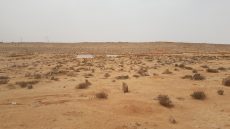 حصريا لائحة شهداء معركة لكراير الخشب من ابناء قبيلة يكوت بحرب الصحراء المغربية