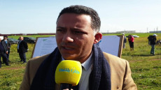 إحداث 263 مقاولة جديدة بجهة العيون الساقية الحمراء