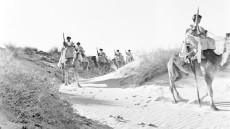 هكذا تشكّلت الروابط التاريخية بين قبائل الصحراء والسلاطين المغاربة