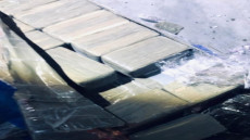 حجز طنين ونصف من الحشيش داخل شاحنة للأسماك بالكركرات