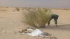 العثور على جثة راع ضواحي السمارة