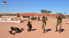 حملة دولية تطالب بإنقاذ أطفال مخيمات تندوف من تجنيد البوليساريو لهم