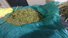 الداخلة:إيقاف شخص لاشتباه تورطه في قضية تتعلق بالسرقة الموصوفة.