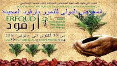 مساحة زراعة النخيل تغطي 67 ألف هكتار وتضم 7.2 مليون نخلة وإنتاج التمور هذا الموسم يقدر بـ 115 ألف طن