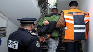 الكلاب المدربة تسقط مروج لحبوب الهلوسة بمدينة العيون