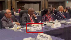 فضيحة مرتزقة البوليساريو في اليابان تكشف ضعف النظام الجزائري