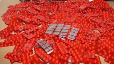 حجز أكثر من 188 ألف حبة قرقوبي مخبأة بإحكام داخل شاحنة بميناء طنجة