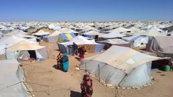 سابقة : الجزائر تلتمس تدخل فرنسا لنقل ساكنة تندوف للمنطقة العازلة