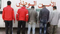 إعتقال عصابة متخصصة في بيع الدجاج النافق لمنظمي الأعراس والوجبات السريعة