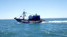 صياد يقتل زميله على ظهر سفينة للصيد بالداخلة