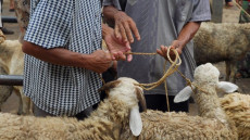 وزارة الداخلية تُطوق مظاهر العيد …. بإجراءات حاسمة