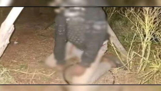 بلاغ الوكيل العام بالراشيدية يؤكد أن “طفل بومية- أغبالو لم يتعرض” لأي اعتداء جنسي اوبدني والابحاث مازالت جارية.
