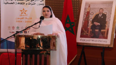 إشادة بجهود الإعلاميين بجهة العيون الساقية الحمراء في تغطية الذكرى الخمسين للمسيرة الخضراء  