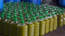 جز 9 أطنان من الزيوت المغشوشة داخل معصرة ضواحي بني ملال