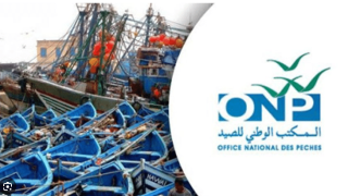 مكتب الصيد ببوجدور في مرمى “الأجندات”: معركة النزاهة ضد التضليل المأجور