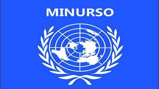 CREATOR: gd-jpeg v1.0 (using IJG JPEG v62), quality = 82